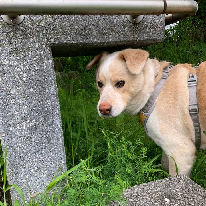 B657824c 1ed9 494b b7b3 eb4e686b965a 1556062000696