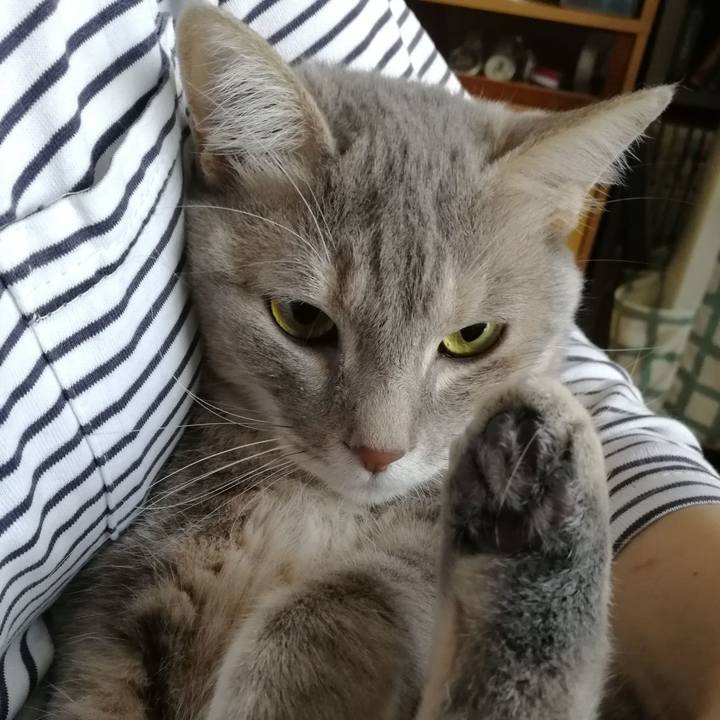 B65796ad 1eae 4a25 a461 ba016ccf98fa 1529203214147