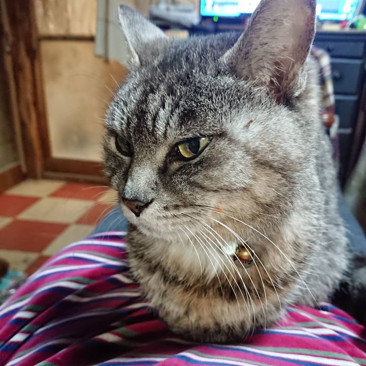 B657a49e cf8a 4449 8e33 bb0e80364df1 1581161877659