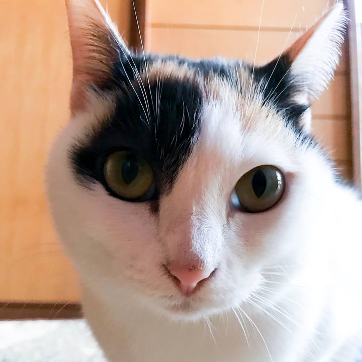 B657ae05 6d79 452d b556 32069ff4b868 1514198554877