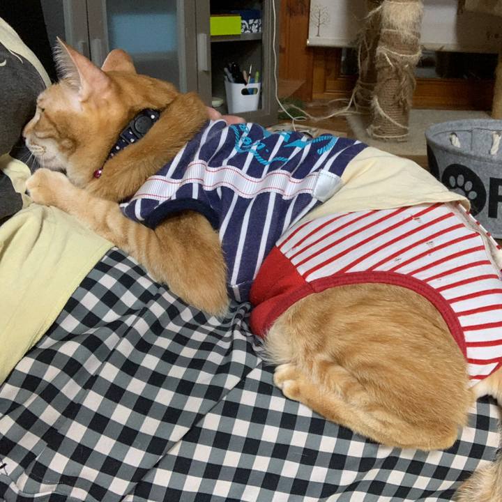 B657c4cb 2ac9 478f 8799 8e20adb193a4 1600769242621