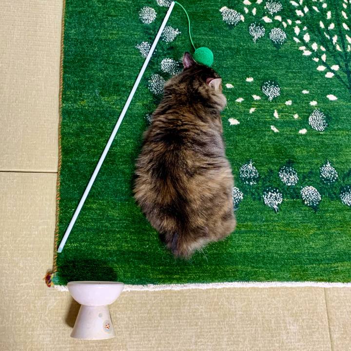 B657c8fa 1591 4d55 b563 1ad109d5cdbf 1658563729609