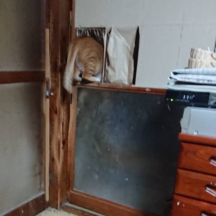 B657e517 6828 4750 a213 600bb8e57c62 1573074691027