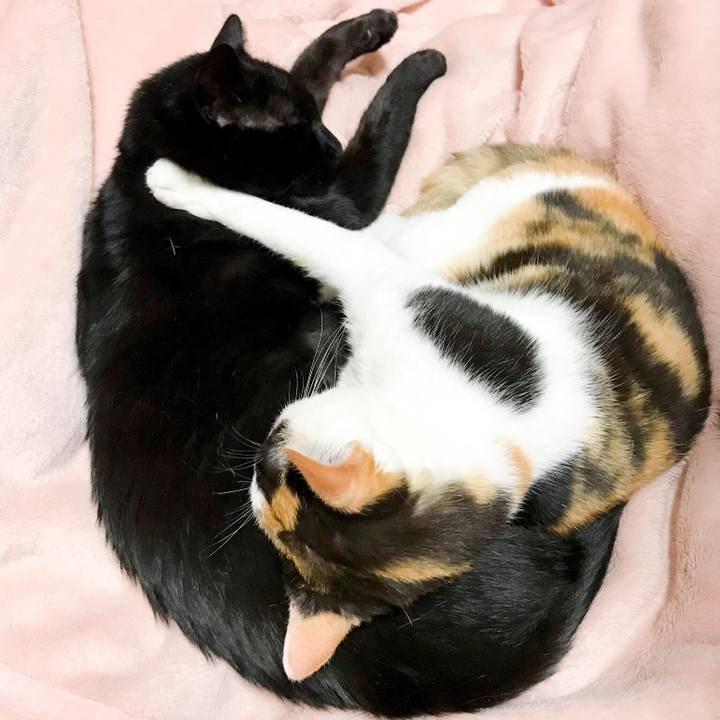 B657e5b1 fec3 443c b47a 42d3ff060b3a 1526396054039