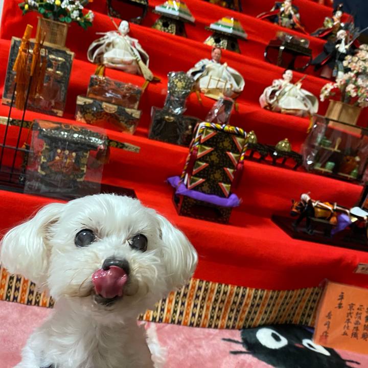 B657e96a 81c0 43e6 b5de 4952298ffa5f 1740996656489