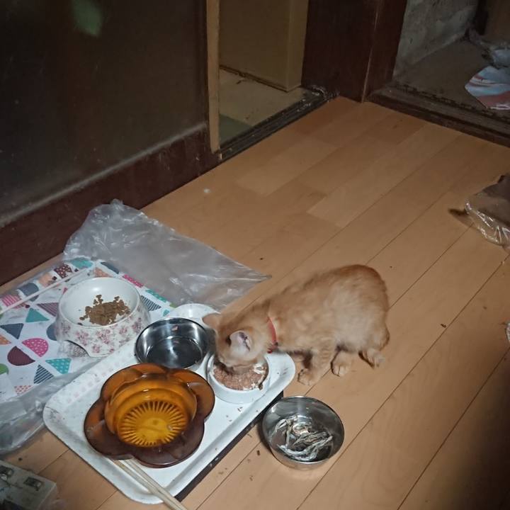 B657fef8 9fa6 4a14 a99f 5af15c633494 1630959975512