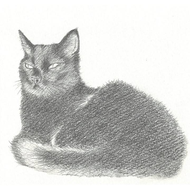 B6580dae 8926 49d2 ada4 a6bf7486bb33 1534204420357