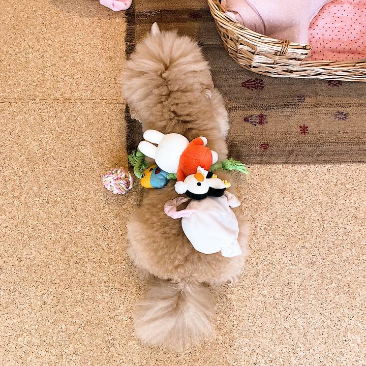 B658304a 3207 46f7 9743 7c24d2b797a6 1535240100168