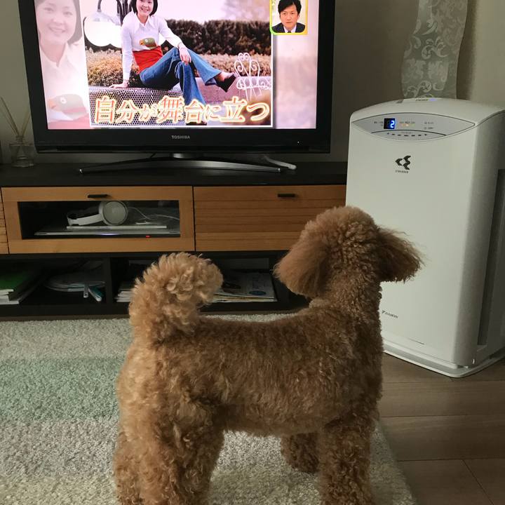 B65845c6 9cde 432d 8771 11565913bfbf 1516062986445