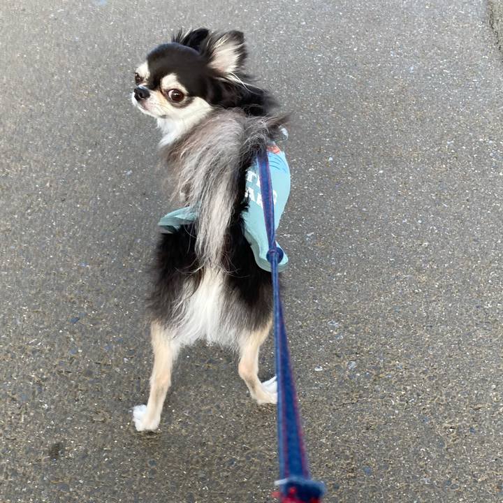 B65890dd e937 4f7e a260 15d8ef027f5d 1713627669811