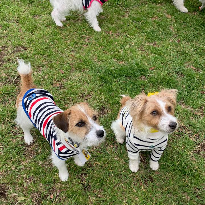 B658ac8e 30b3 4243 b503 24b381e164f1 1773138560974