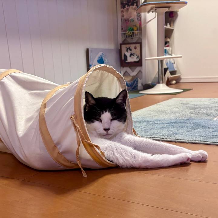 B658b74a b9ba 4c18 bffb 5d5e736629ca 1765667591375