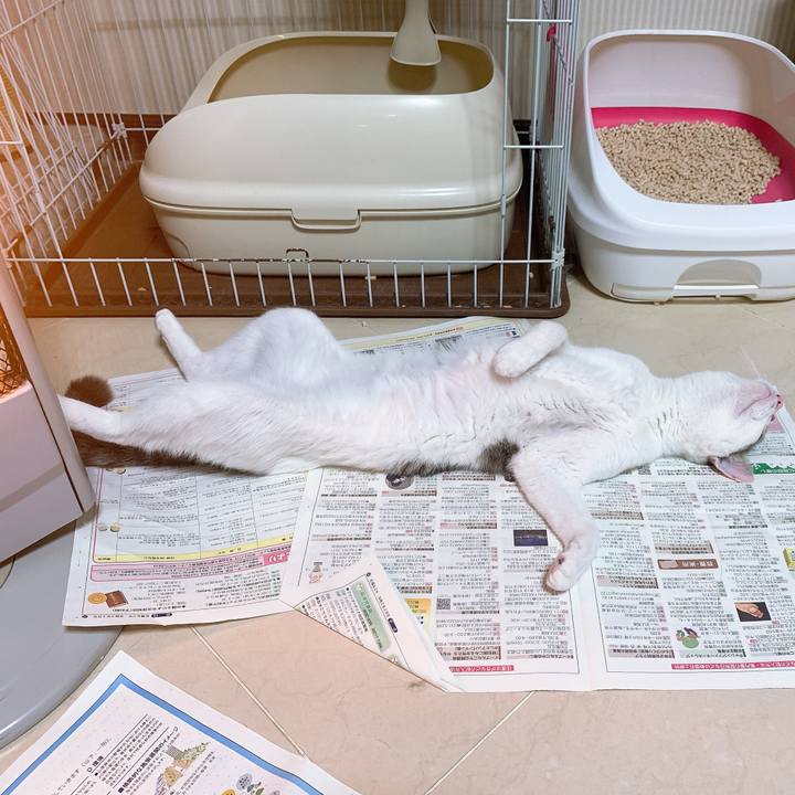 B658becc 1454 4d19 9542 d673c5c8717a 1581385079923