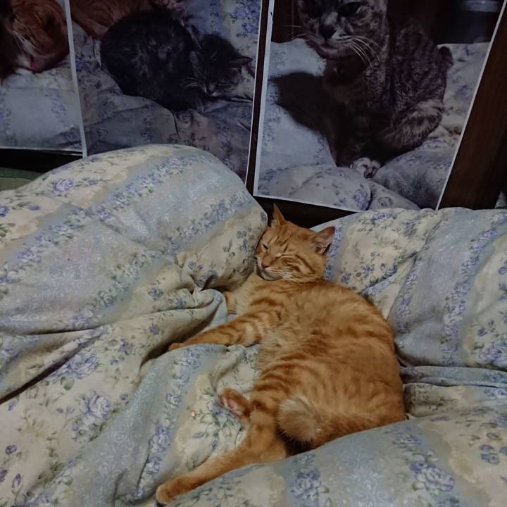 B658e7b6 0aca 47a7 9b12 fd7ed17d3fee 1661691511010