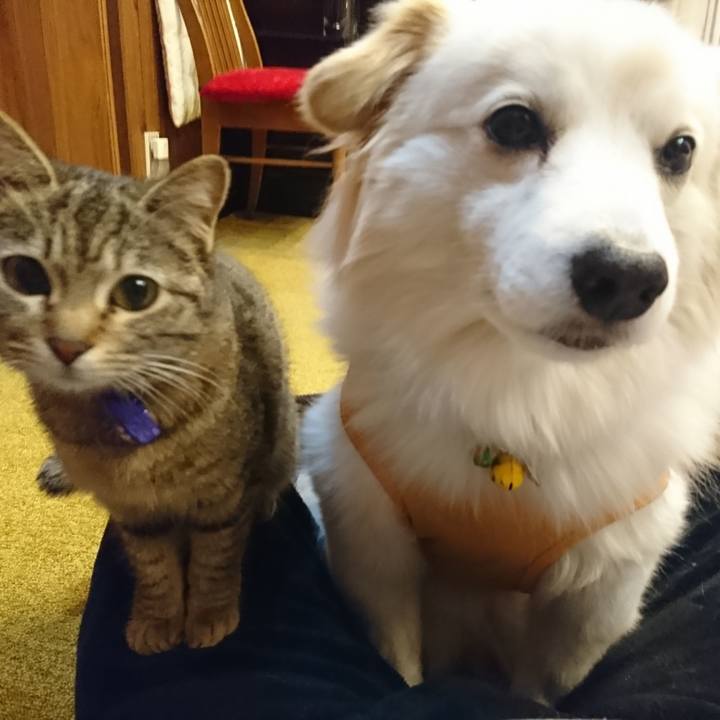 B6590913 b3e0 4624 bb9f 83a5baf121a6 1554997305494