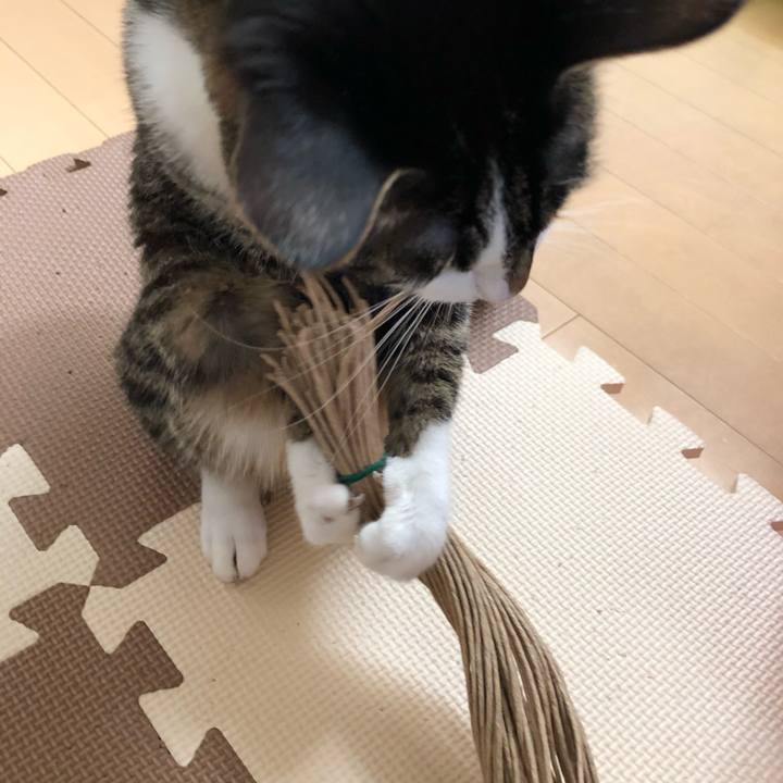 B659456a 233c 42c9 a25d b32785243922 1524881089718