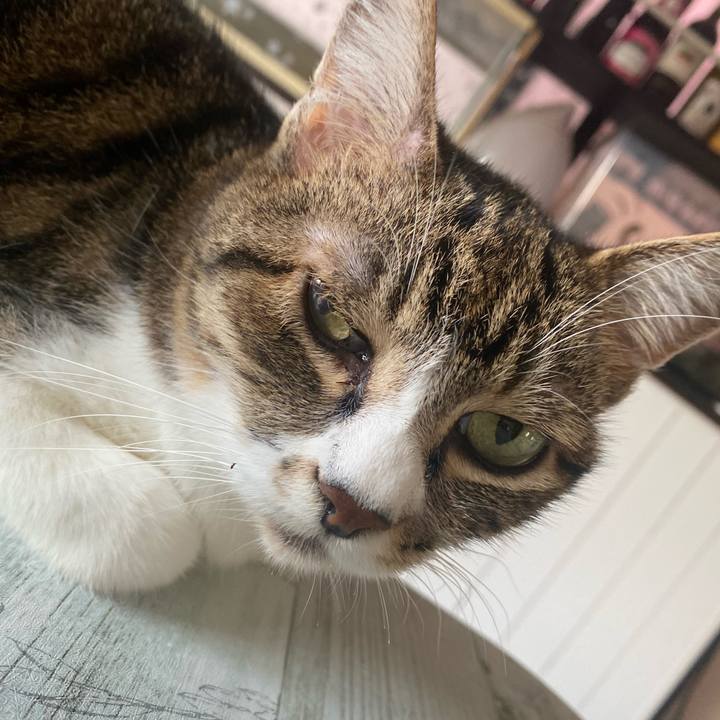 B6595fcd df33 4771 8129 096e75ad7478 1626381933262