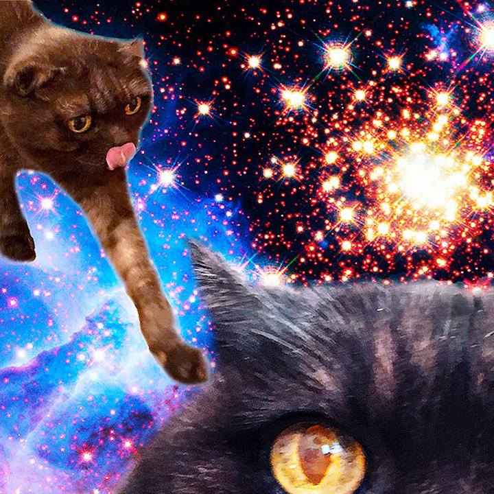 B6596c54 87bb 4ed9 b005 a22efd8940ab 1579692574928