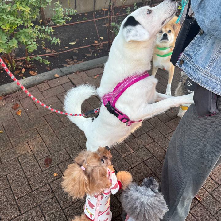 B659b105 bafa 4030 a59a 758007511ecb 1762125896771