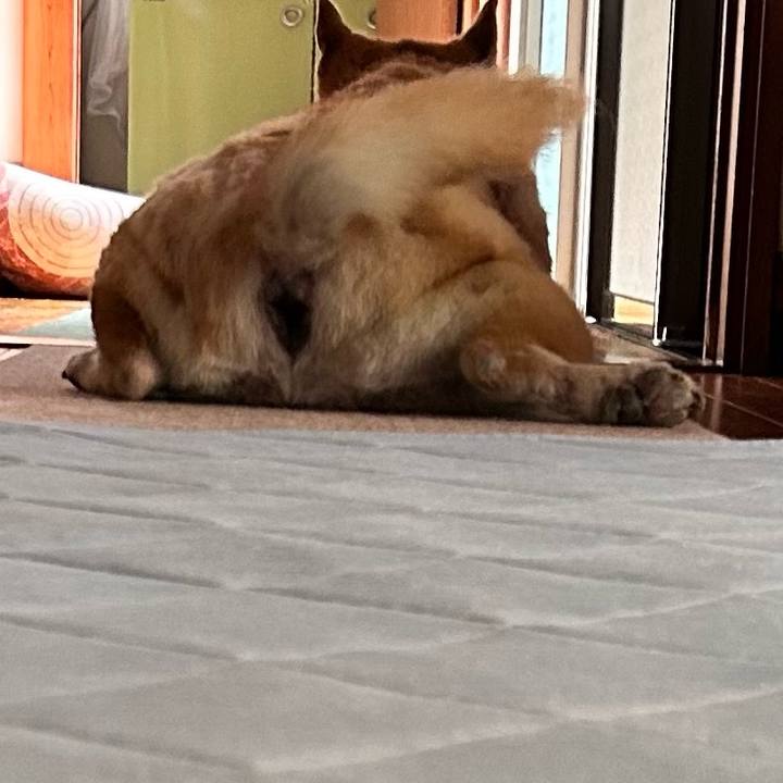 B659b872 9647 4d40 85b8 9f2b907d85a1 1758548232303