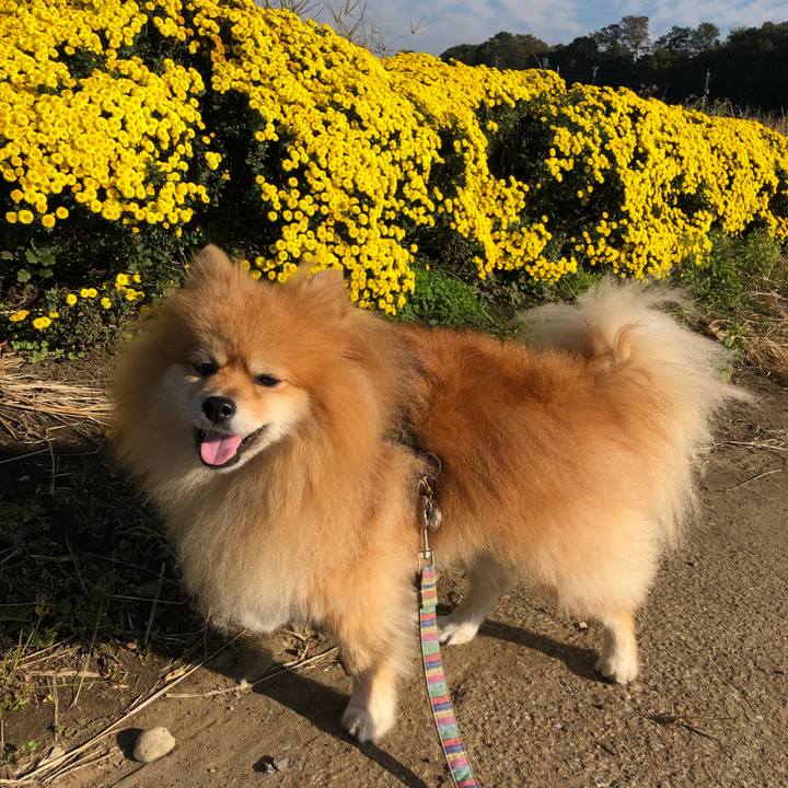 B659cec1 f816 4dfc ba39 ac59467f2123 1573089454273