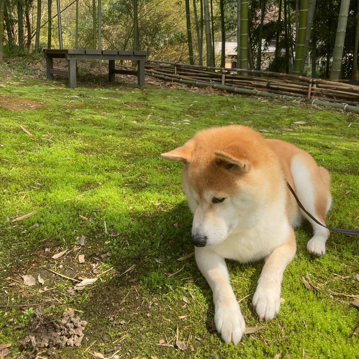 B659f1fb 6cb7 4205 b057 e61e5f36ef0f 1745037637828