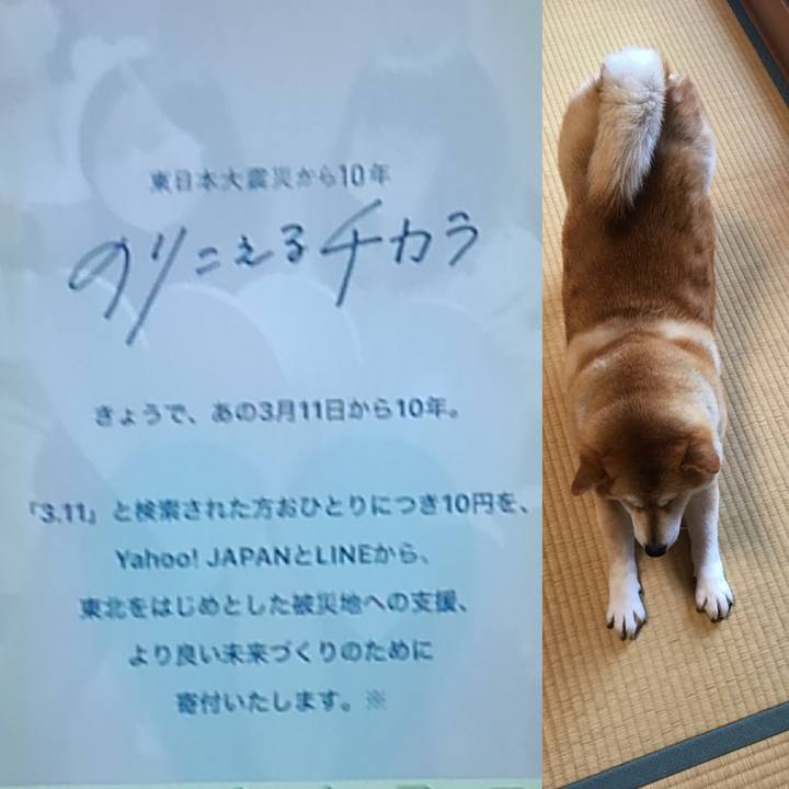 B659fcfa 6683 4259 bdc8 c00f68ffcfdc 1615419154668