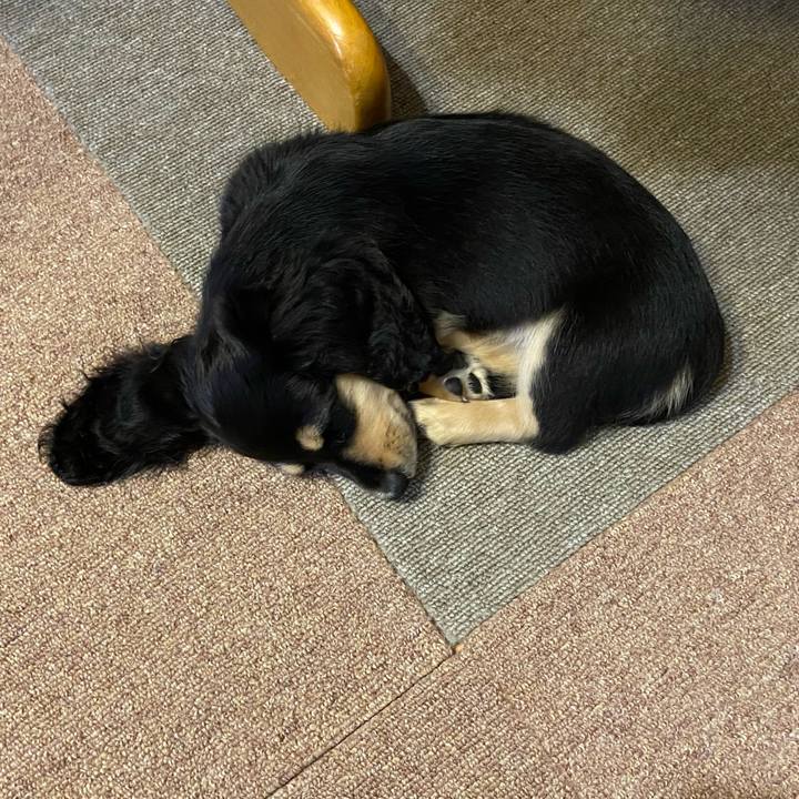 B65a02ec 60b5 4c1c 861c 8082ad9feee8 1665095393879