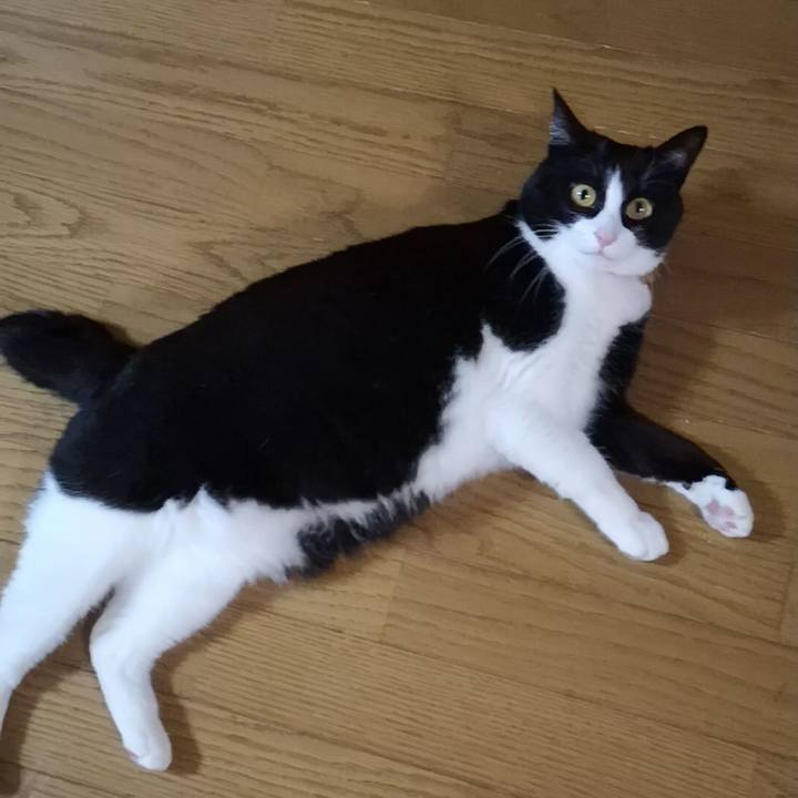 B65a321f d53f 4925 869f 81ee03a53b7b 1580440368036