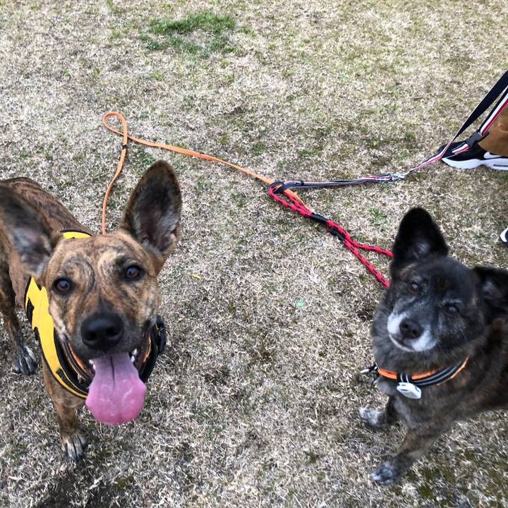 B65a3431 79c4 4df8 a879 859c443ba06f 1609379399781