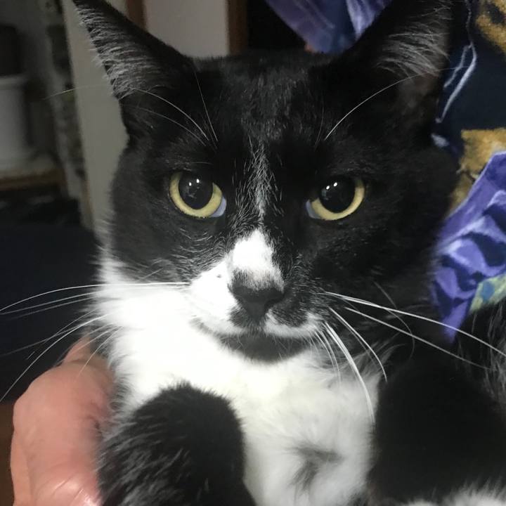 B65a48af 57fe 494a 959e a63d96752411 1665025742972