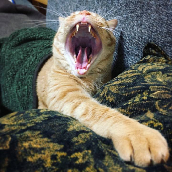 B65a6dd3 0088 4c95 94d2 4e29102c3783 1578522968835