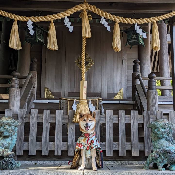 B65a86e4 9d3e 425b b0ec eeb6bac6742d 1710773913729