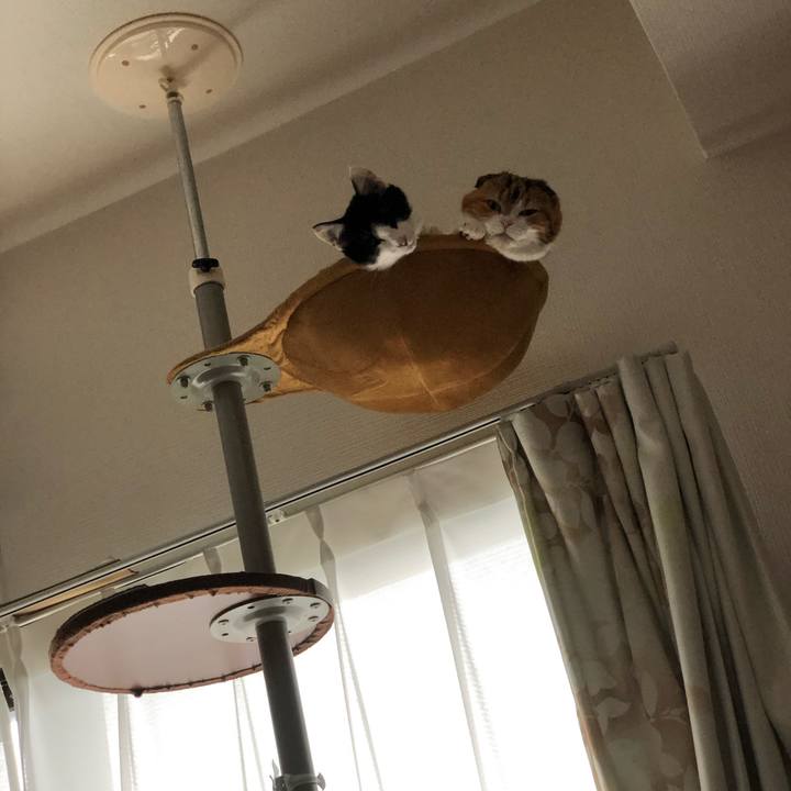 B65aa5f4 3dea 45a0 90a1 a5e4235493a9 1615084204359