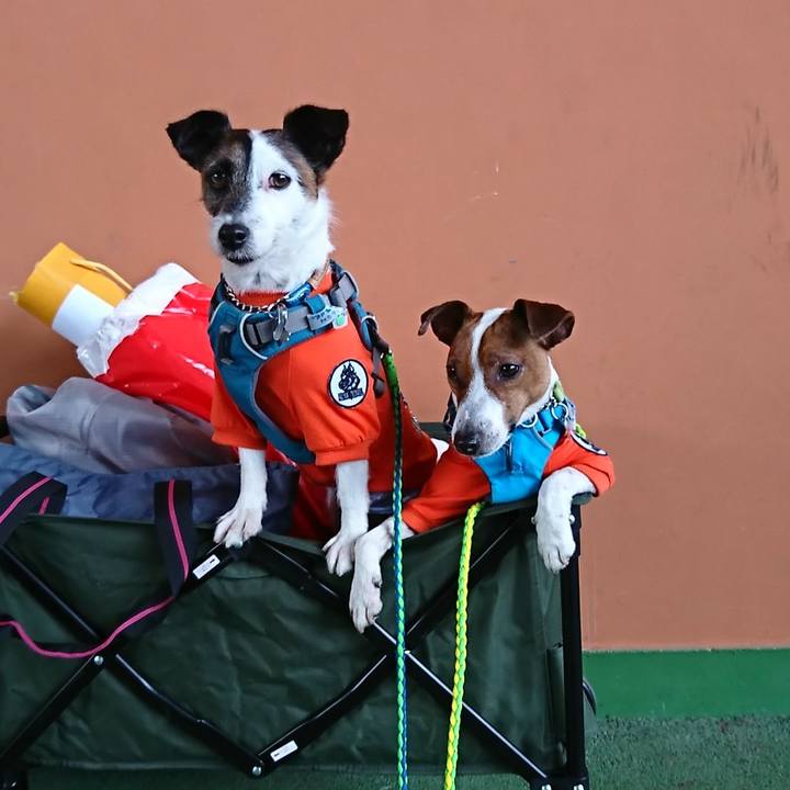 B65afb31 5edb 4f63 9ff7 7310860af072 1555236127409