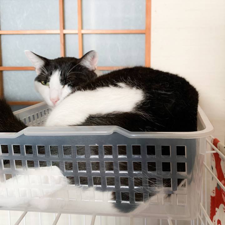 B65b1eb2 e066 4a6b bf45 b5afe3467e93 1568253487042