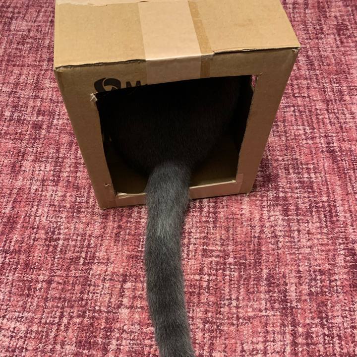 B65b66c7 3d5b 4dae b946 dee8ade8492f 1579867542309