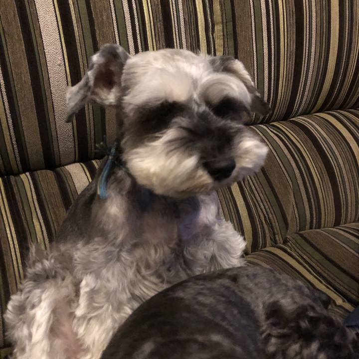 B65b7479 97c9 4905 a100 8be100859222 1557843619228