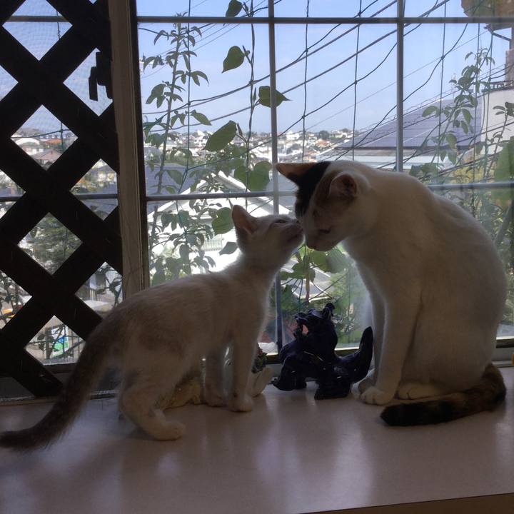 B65b97dc 0cad 451e 9c47 3b672b0eb040 1597227697689