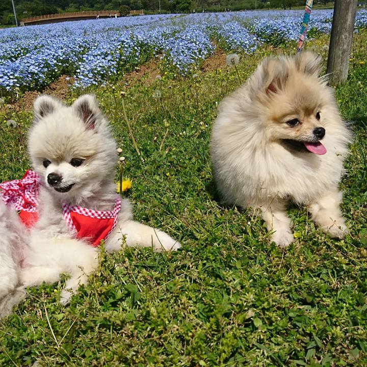 B65b9b91 9b0c 45f6 993d 640fa39ddb7a 1524300311780