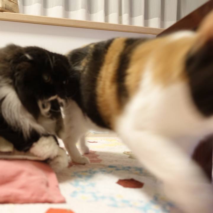 B65bb7be d12e 439a b0e7 b79382261878 1552046877787