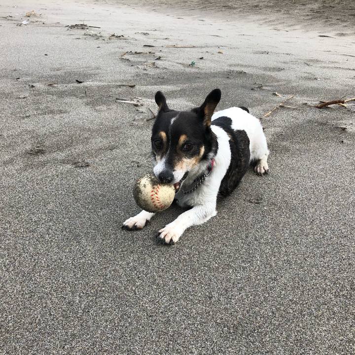 B65bd1c7 266e 4b10 9227 fb429a982f15 1566000324529