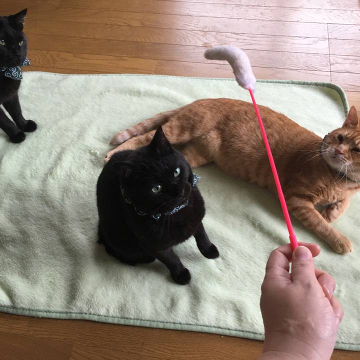 B65be86a a903 4a6b 808e f5bf3c945567 1532355706473