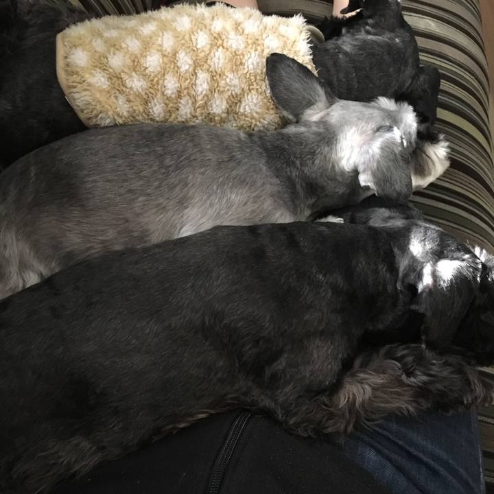 B65bed08 cc31 4353 a7ad cf7ba2c75cd7 1512873907126