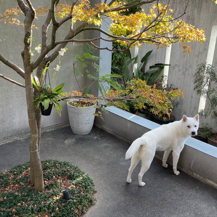 B65c00db ef11 4a7c ab0a fe058c958316 1669892032099