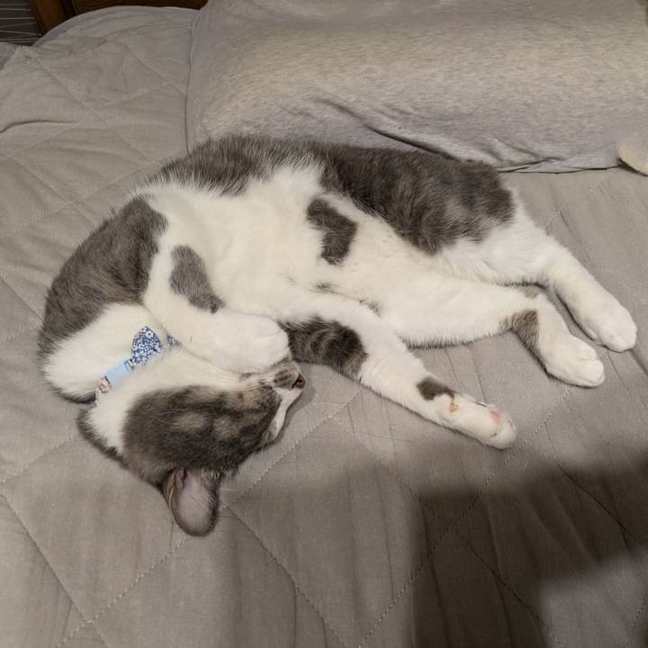 B65c55bf b1dc 4867 9c8f 253abb2e5d1e 1728217025647