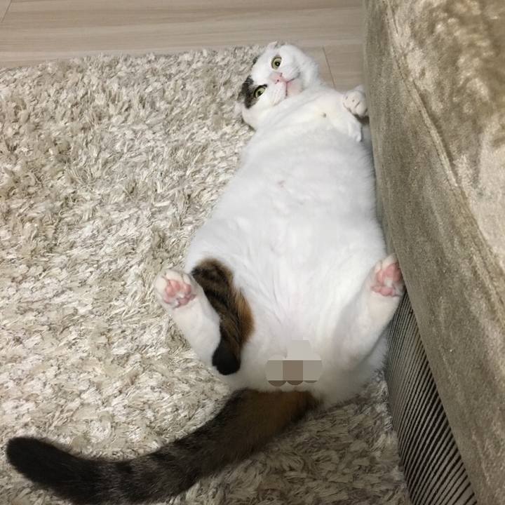 B65cb1c1 3d10 4240 a95a 5c428da0f8c6 1528933775477