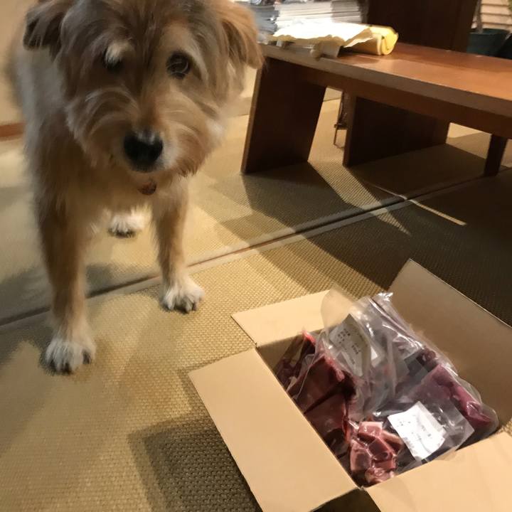 B65cc58e 2d13 4596 a448 737bea8d674e 1612625179430