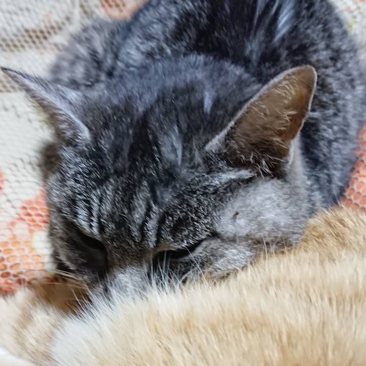 B65cc83c 43ab 4641 a93d 9aa2b75957ac 1581082785082