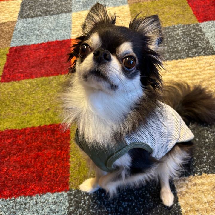 B65ce0e4 0b05 4d6a b58f 37276e8eb5ad 1749313913155